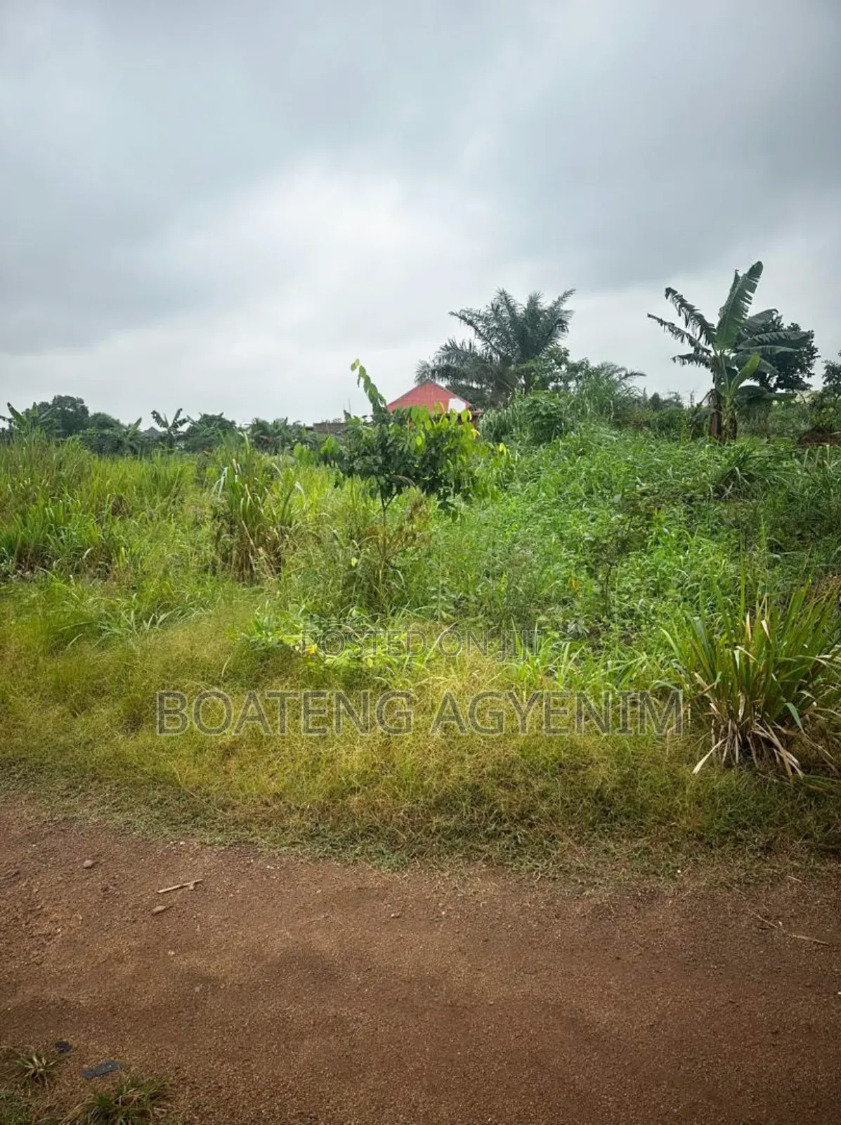 Half Plot for Sale