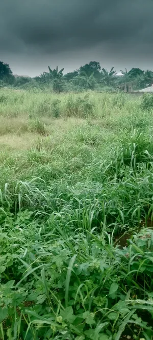 Half Plot for Sale