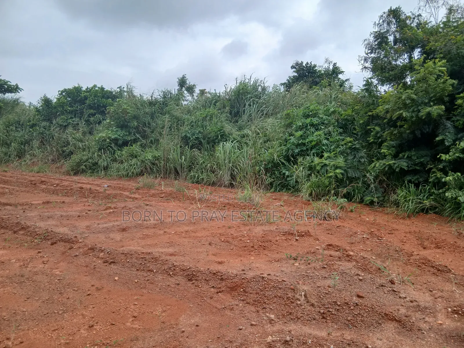 Main Road Side Plot of Land
