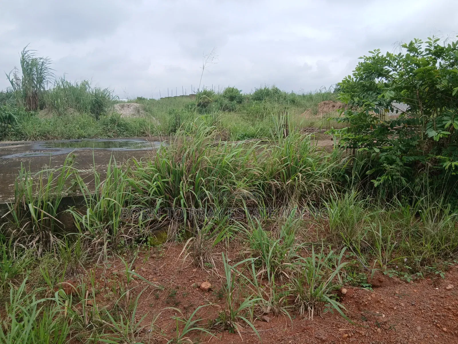 Main Road Side Plot of Land