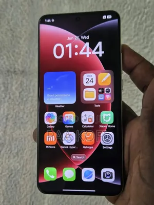 Xiaomi 15 Ultra 256 GB Gray