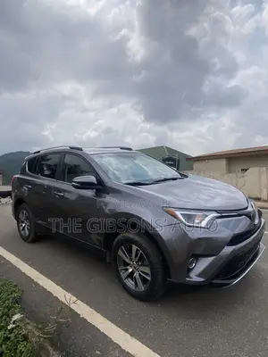 Toyota RAV4 XLE 4dr SUV AWD (2.5L 4cyl 6A) 2018 Gray