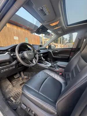 Toyota RAV4 XLE Premium AWD 2020 Silver