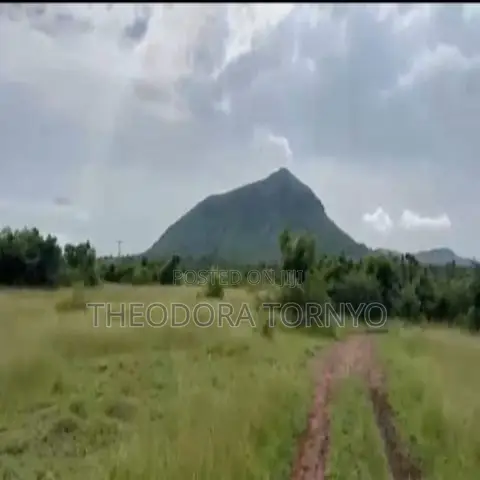 3 Prime Plots at East Legon Hills
