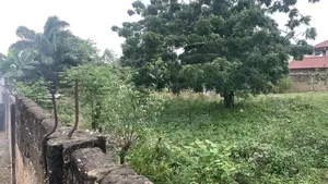 Title Land