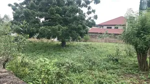 Title Land