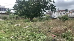 Title Land