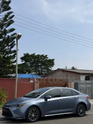 Toyota Corolla LE 2024 Gray