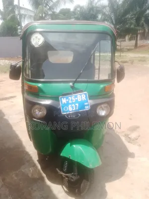 Beetle Bolt Stinger 2025 Green