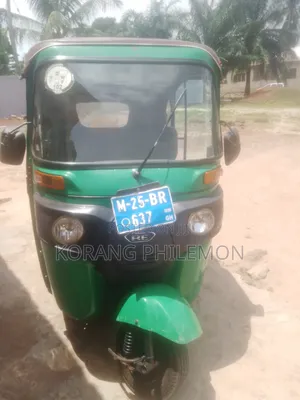 Beetle Bolt Stinger 2025 Green