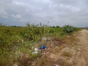 Acres of Factory Lands for Sale After Central University