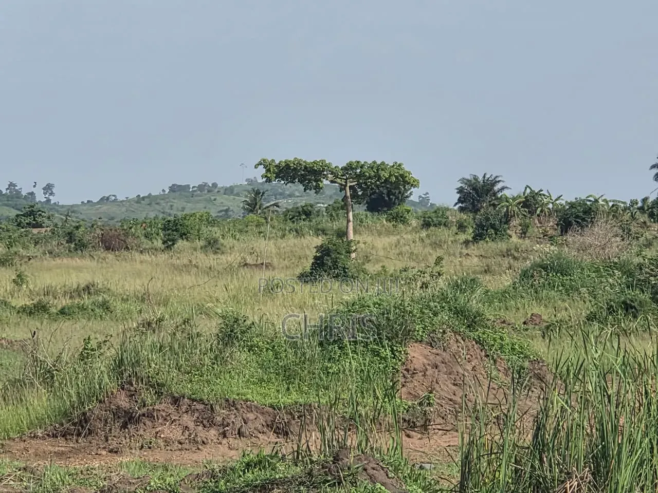 4 Plots for Sale