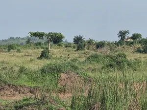4 Plots for Sale