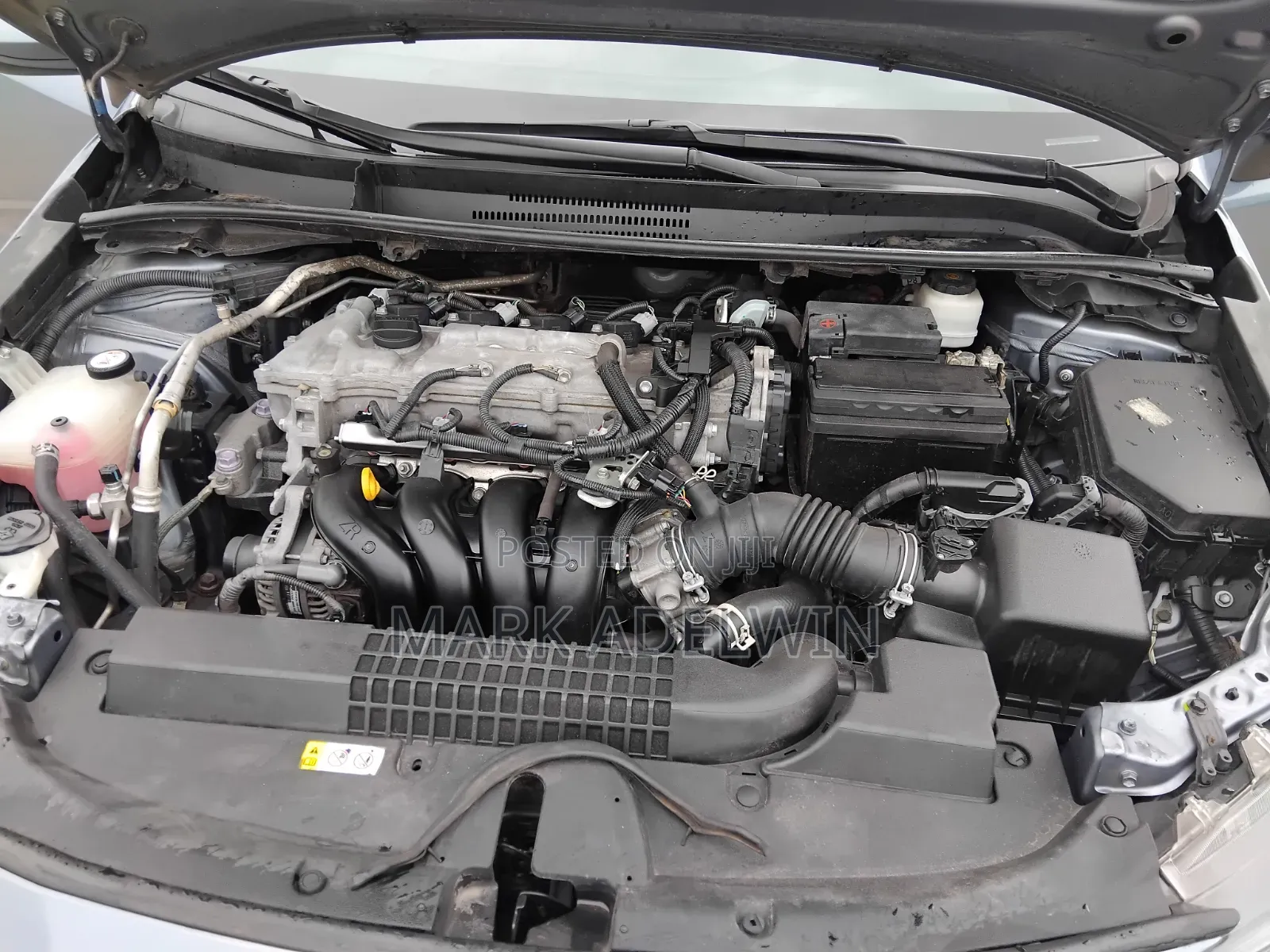 Toyota Corolla 2021 Green