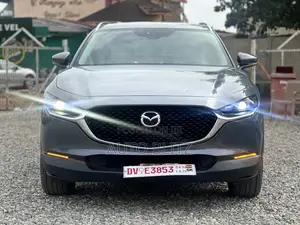 Mazda CX-30 2021 Gray