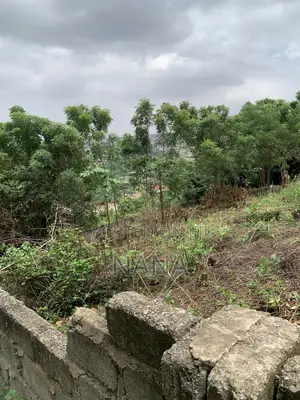 100*100 Walled Plot of Land Forsale and Sesame