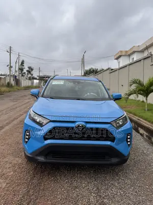 Toyota RAV4 XLE AWD 2019 Blue