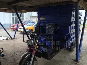 Tricycle 2026 Blue