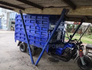 Tricycle 2026 Blue