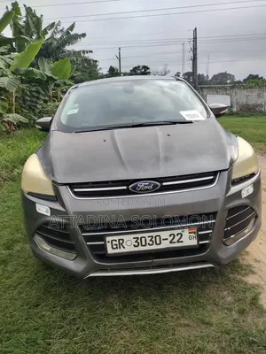 Ford Escape 2013 Gray
