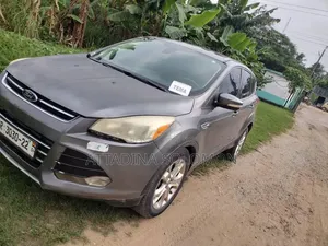 Ford Escape 2013 Gray