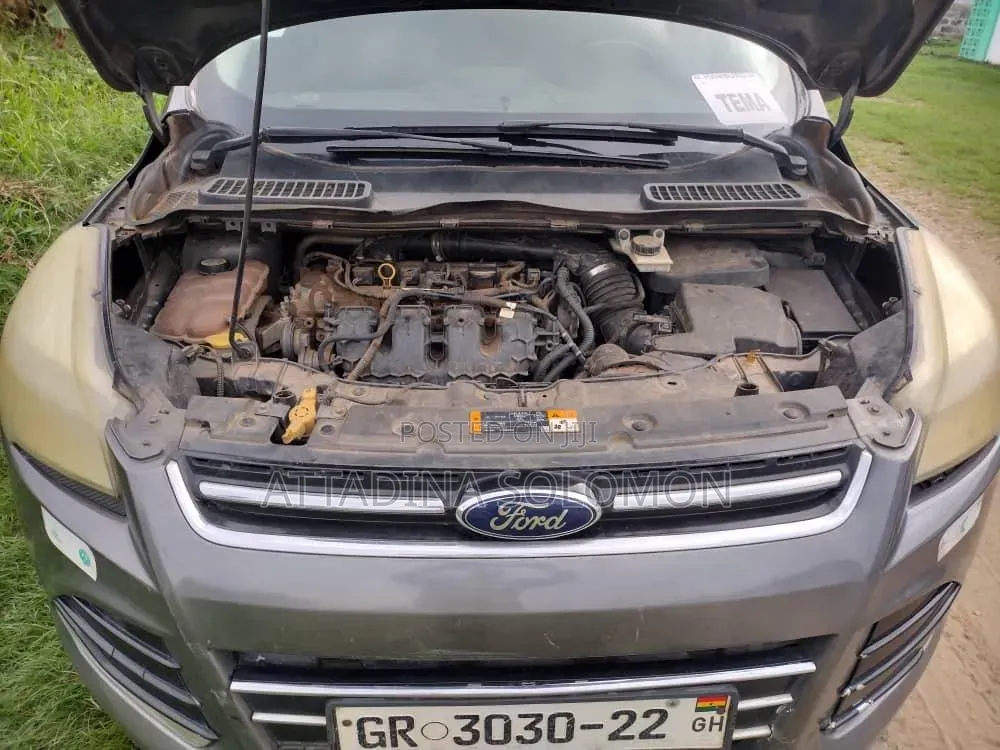 Ford Escape 2013 Gray