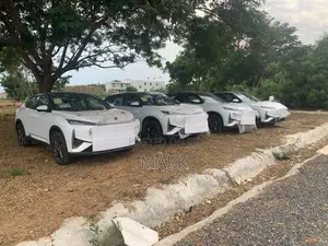 New Dongfeng Z9 2025 White