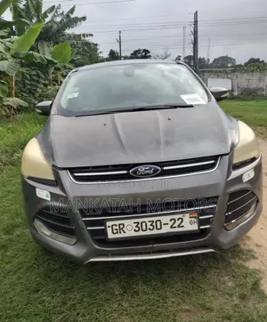 Ford Escape 2013 Gray