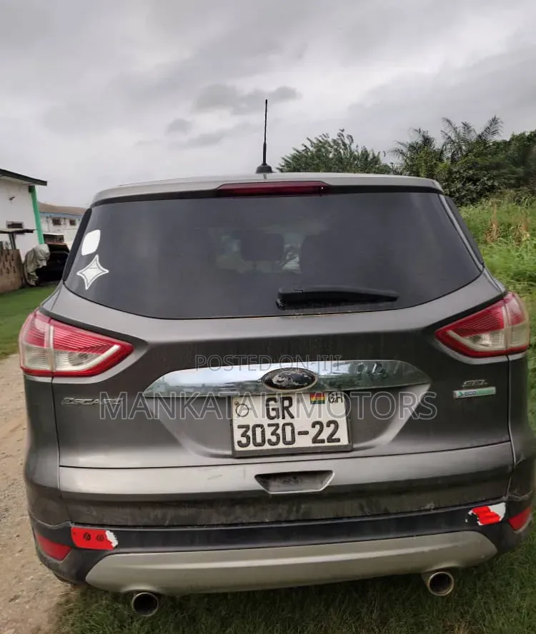 Ford Escape 2013 Gray