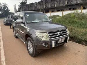 Mitsubishi Pajero 2011 Gray