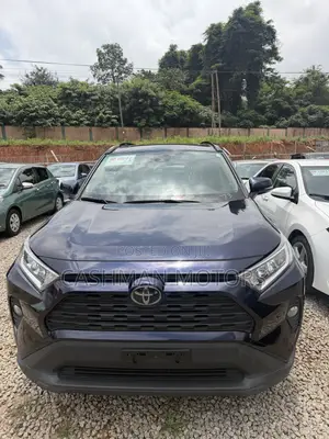 Toyota RAV4 XLE AWD 2019 Blue