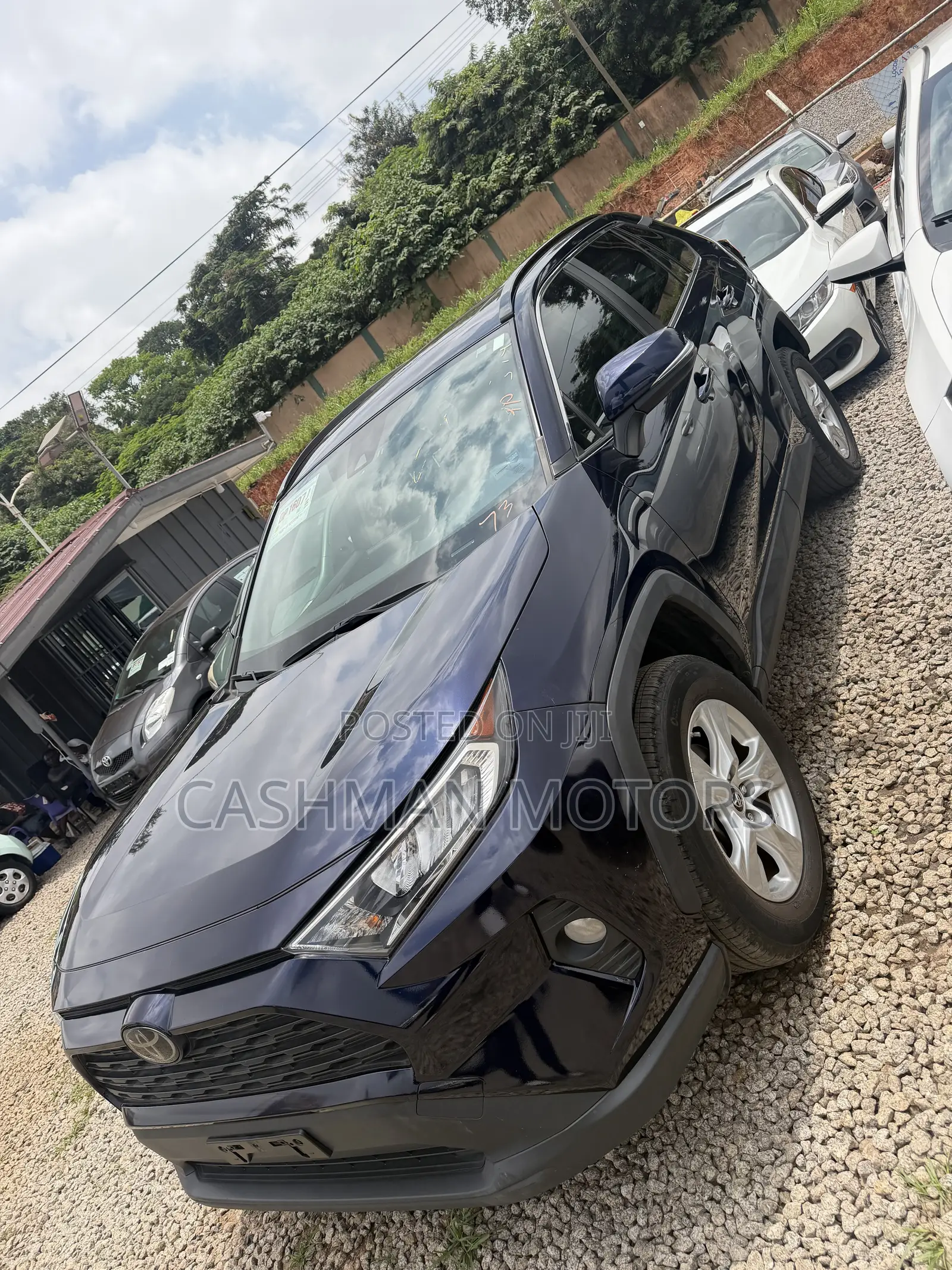 Toyota RAV4 XLE AWD 2019 Blue