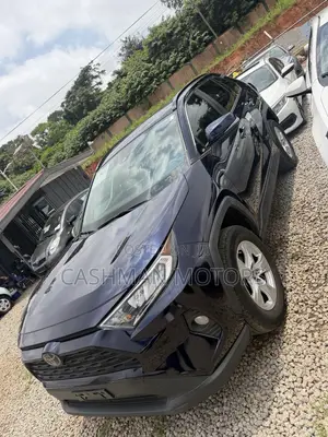Toyota RAV4 XLE AWD 2019 Blue