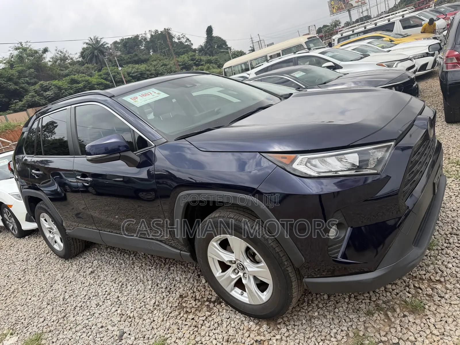 Toyota RAV4 XLE AWD 2019 Blue