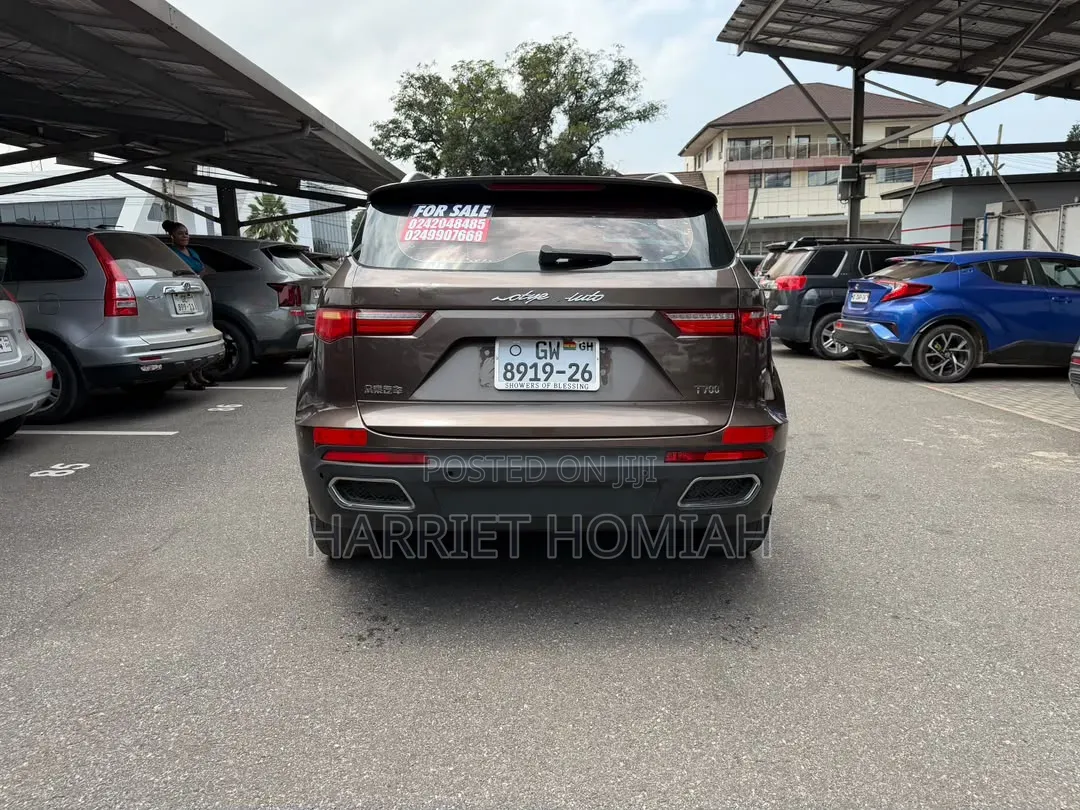Zotye T700 2017 Brown