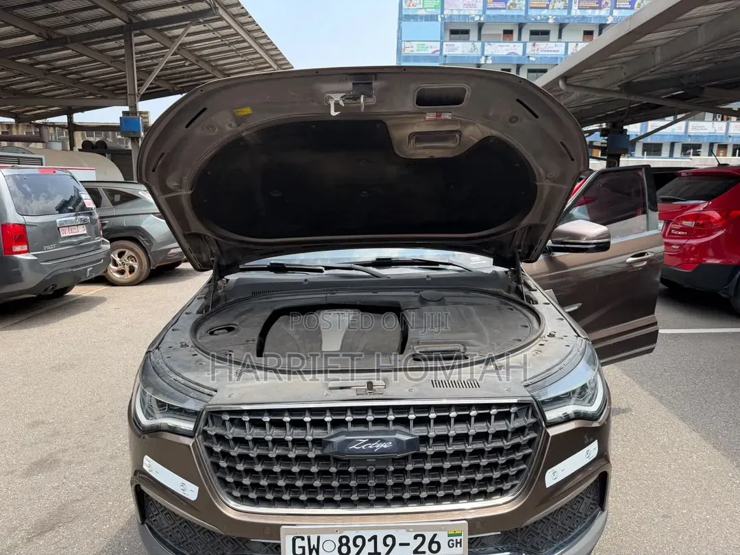 Zotye T700 2017 Brown