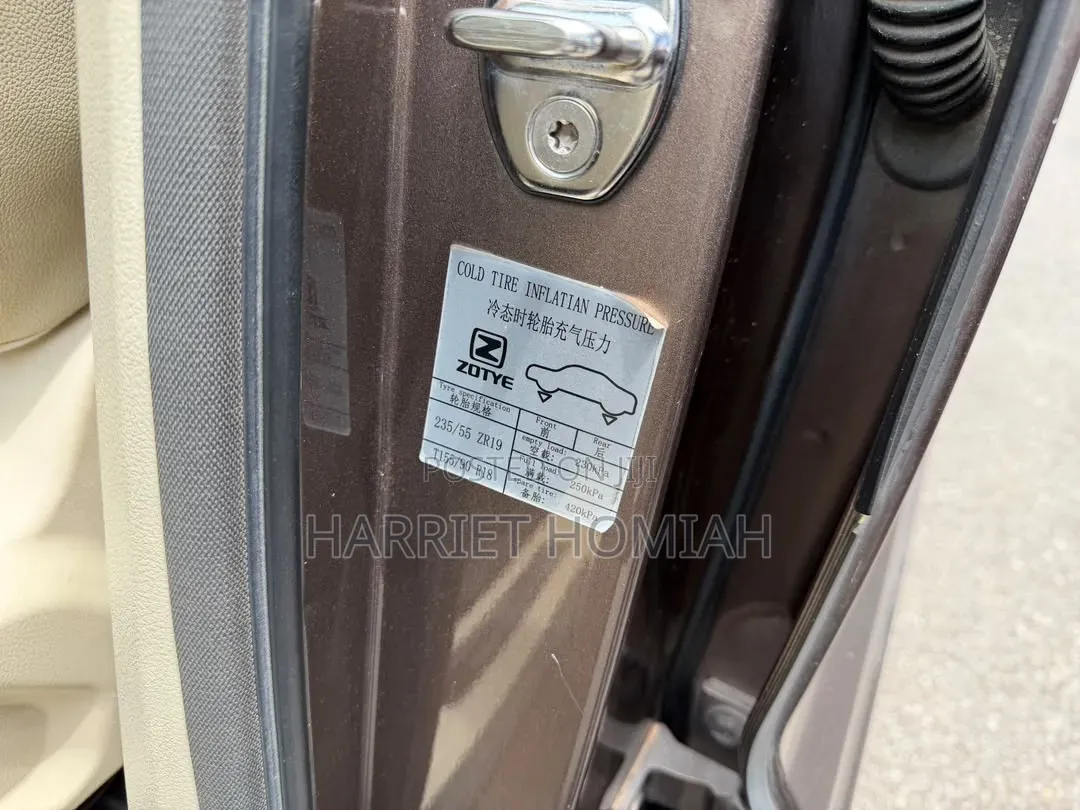 Zotye T700 2017 Brown