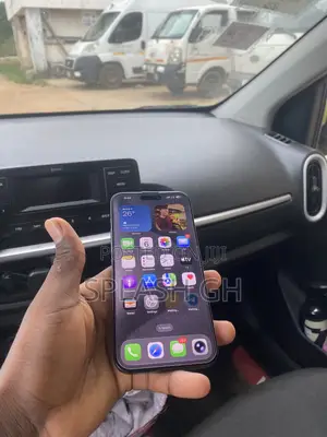 Apple iPhone 15 Pro Max 256 GB Gray