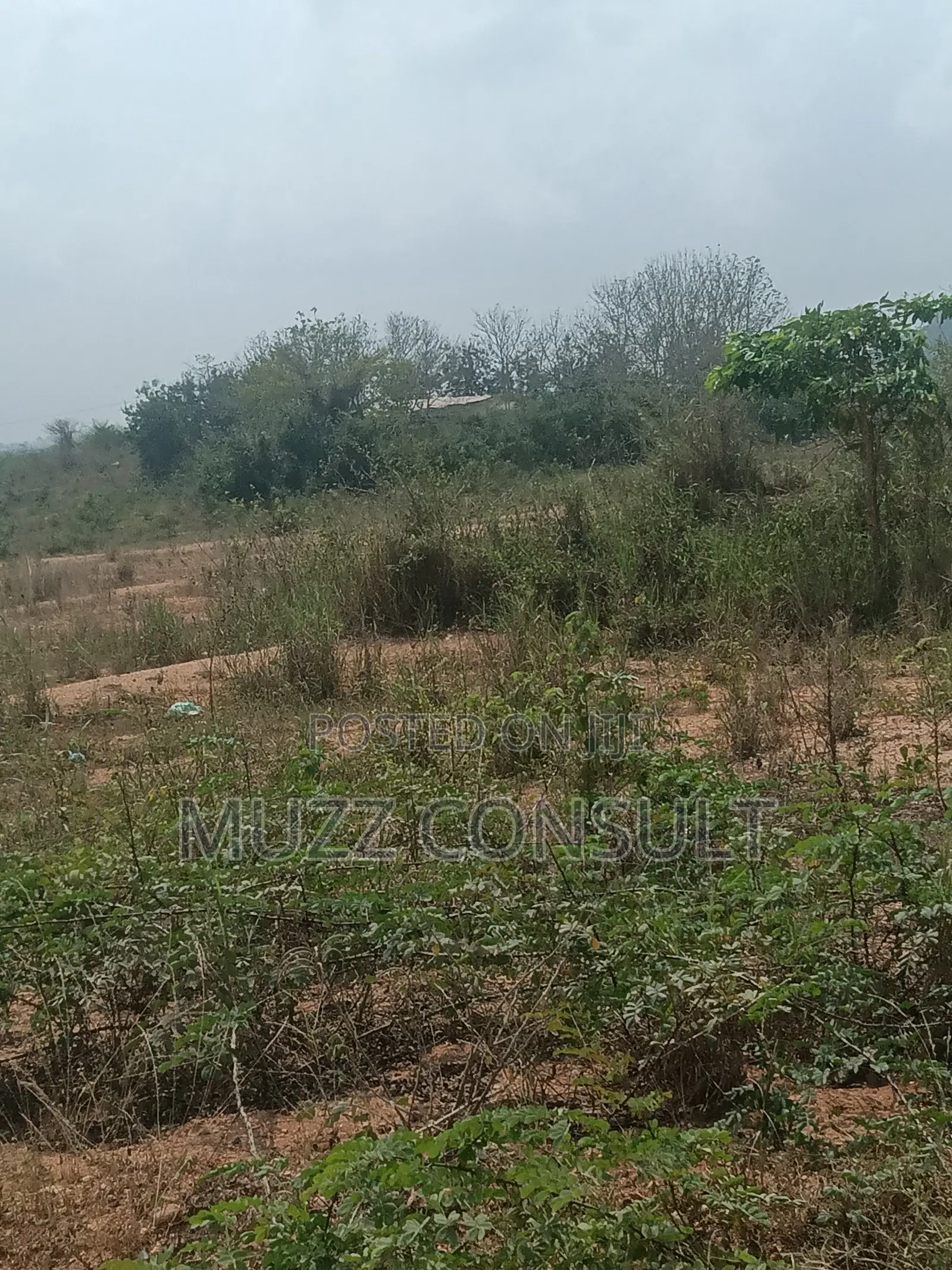 7 Plots of Lands in Kasoa Loye Hotcake
