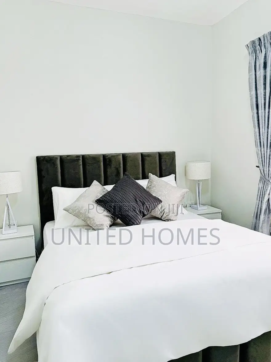 Furnished 1bdrm Apartment in Cantonments for rent