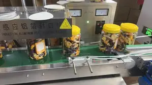Commercial Automatic Induction Sealer With Conveyor