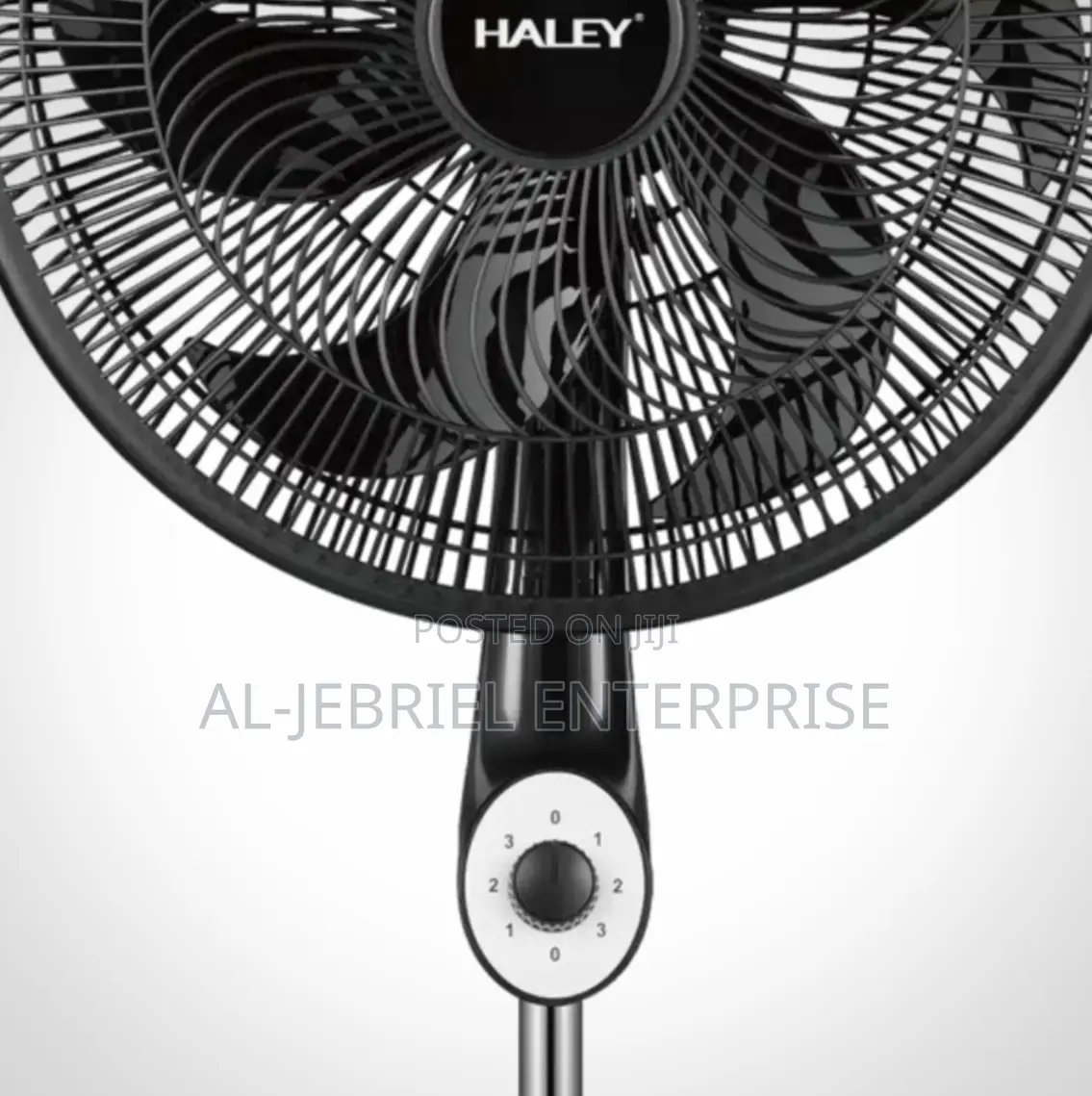 Haley Standing Fan 18”