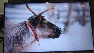 65inch Samsung Qled Smart TV