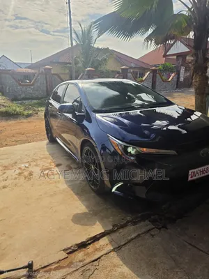 Toyota Corolla LE 2020 Blue