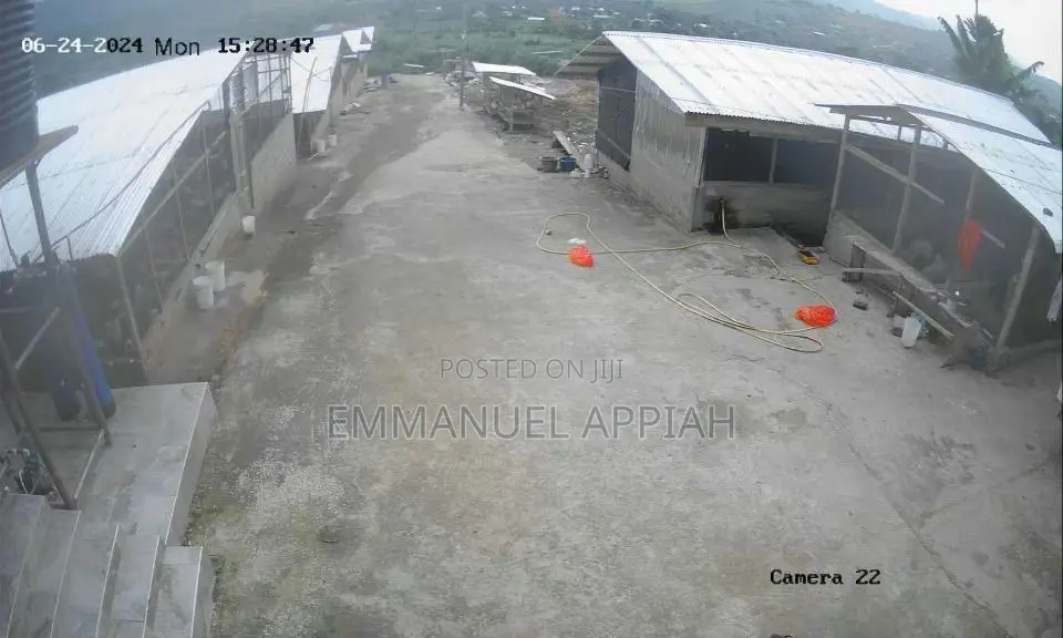 Chicken Farm for Sale + House at Nsawam