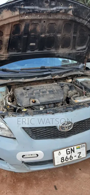 Toyota Corolla 2009 Gray