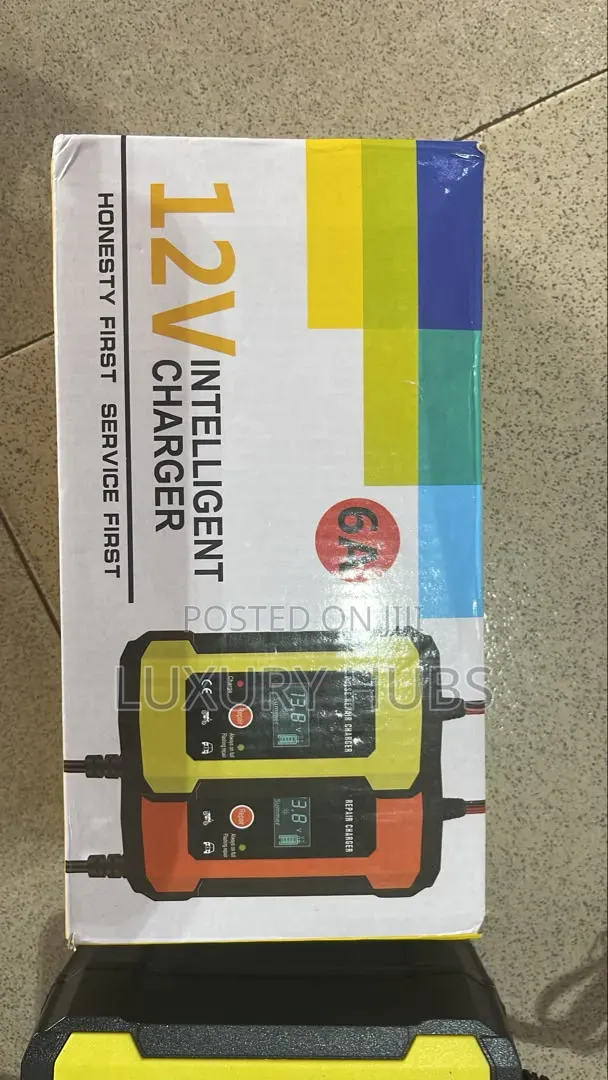 Smart Car/Motorcycle Battery Charger