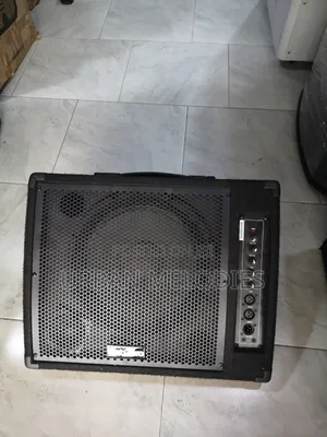 SubZero Stage Active Floor Monitor