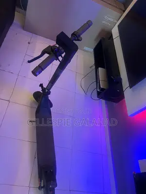 Electric Scooter for Sale