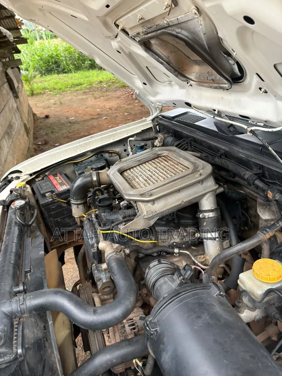 Nissan Hardbody 2019 White